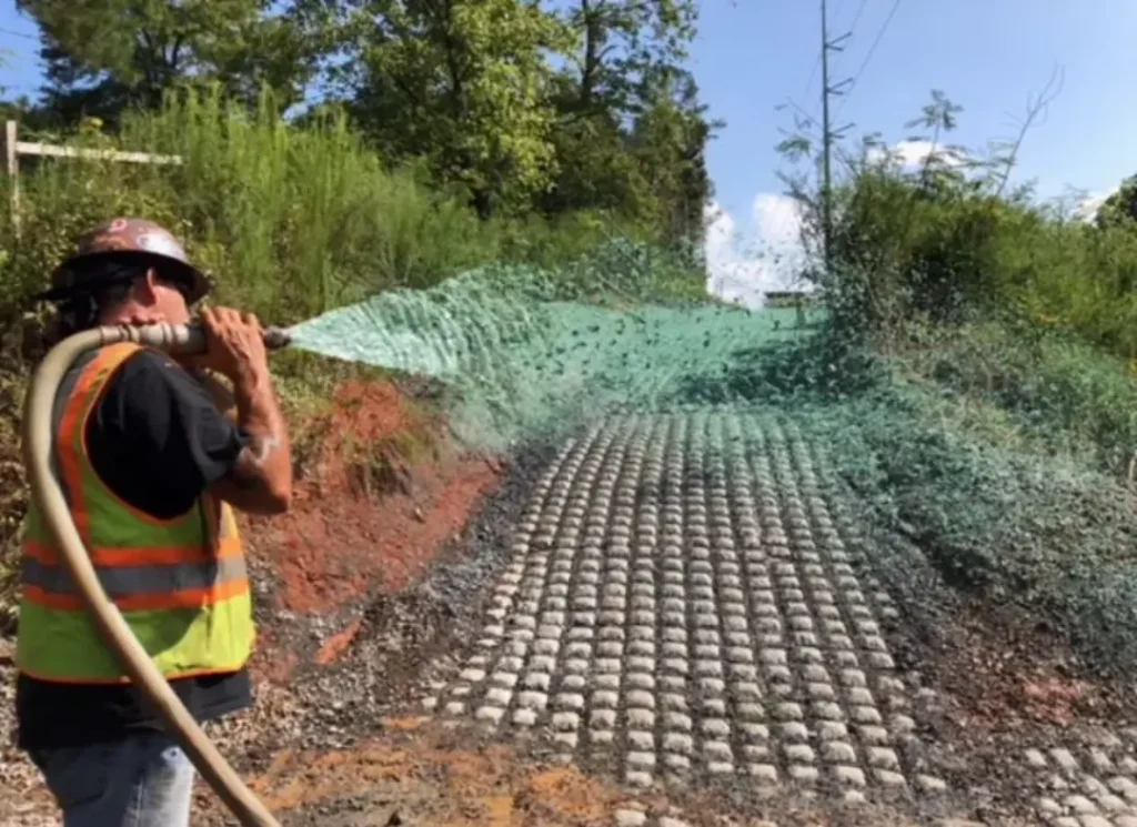 Outdoor permeable grid walkway.